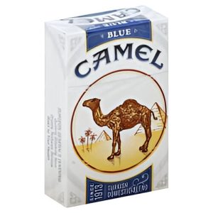 CAMEL Blue Box